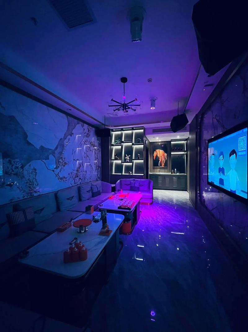 崇左商务ktv环境和服务怎么样-扶绥县ktv预定